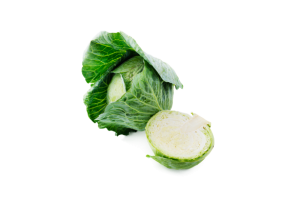 Leafy Fresh Green Cabbage