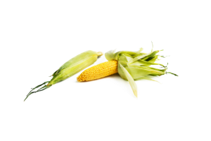 Super Juicy Corn