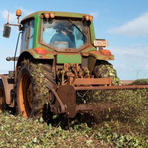 farmer-prepares-ground-for-farming-hydro-produce-australia