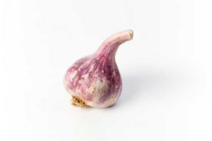 Fresh grown Australian Aromatic Garlic