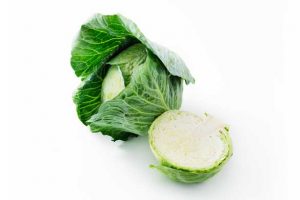 Leafy Fresh Green Cabbage