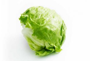 Crisp Crunchy Iceberg Lettuce