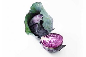 Leafy Fresh Purple Cabbage