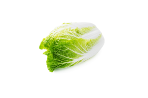 Leafy Fresh Wombok Cabbage